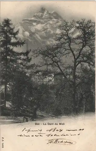 Ansichtskarte Bex (Aigle) Stadtpartie - Matterhorn 1901