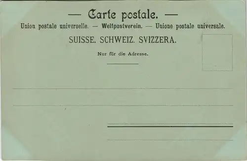 Neuhausen am Rheinfall Rheinfall v. Fischetz Mondscheinlitho 1899