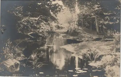 Ansichtskarte  Fotokunst Salon 1901 L eau Dormante 1901