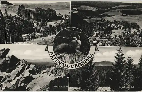 Ansichtskarte Altenau-Clausthal-Zellerfeld Stadtansichten - Eichhörnchen 1967