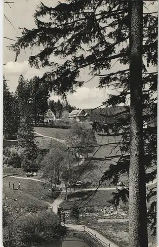 Ansichtskarte Altenau-Clausthal-Zellerfeld Blick zur Schwefelquelle 1957