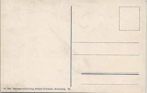 Ansichtskarte Ronneburg (Thüringen) Stadt und Teichpartie 1912
