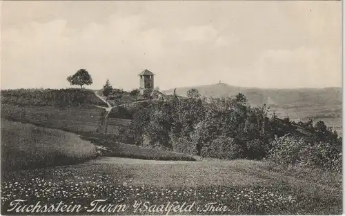 Ansichtskarte Saalfeld (Saale) Umland-Ansicht mit Fuchsstein-Turm 1910