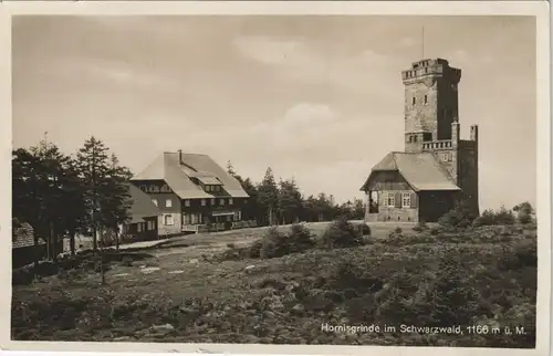 Ansichtskarte Achern Hornisgrinde (Berg), Turm 1931