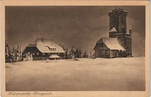 Ansichtskarte Achern Hornisgrinde (Berg), Hotel Winter 1926