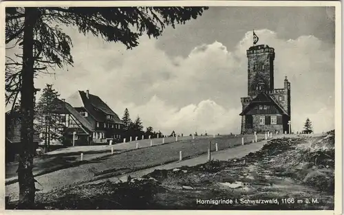 Ansichtskarte Achern Hornisgrinde (Berg) - Bergpartie 1939