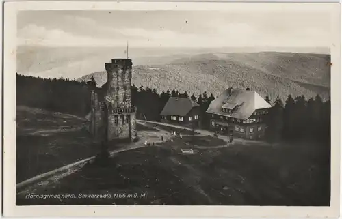 Ansichtskarte Achern Hornisgrinde (Berg) - Fernblick 1931