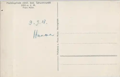 Ansichtskarte Seebach Aussichtsturm Hornisgrinde, Rasthaus, Schwarzwald 1928