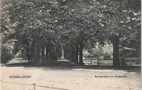 Ansichtskarte Düsseldorf Hofgarten Seufzerallee im Hofgarten 1905