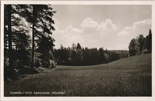 Ansichtskarte Conweiler-Straubenhardt Umlandpartie 1932