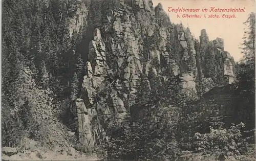 Ansichtskarte Olbernhau Teufelsmauer im Katzensteintal 1908