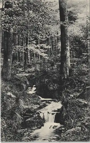 Ansichtskarte Olbernhau Wasserfall beim Fuchsstein 1913