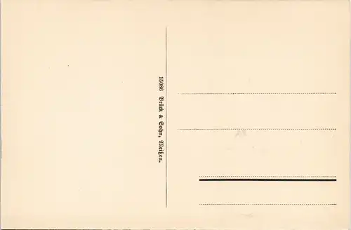 Ansichtskarte Wurzen Wettinplatz, Drogerie, Kreisschule 1913