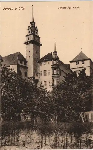 Ansichtskarte Torgau Schloss Hartenfels 1913