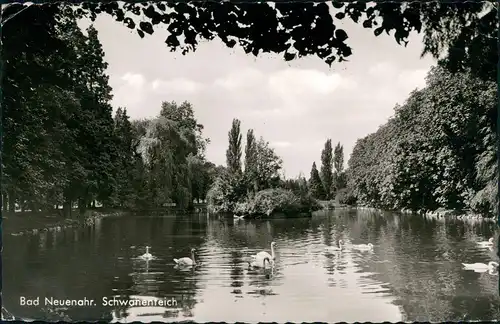 Ansichtskarte Bad Neuenahr-Bad Neuenahr-Ahrweiler Schwanenteich 1963