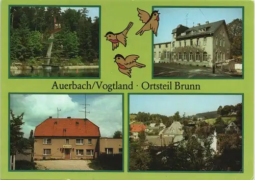 Ansichtskarte Auerbach (Vogtland) OT Brunn, Waldbad 1986