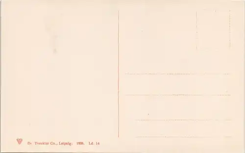 Lindau (Bodensee) "Zum Pflug" Gaststätte Lokal, Strassen Ansicht 1908