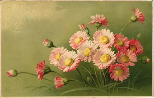 Ansichtskarte  Signierte Künstlerkarten - Blumen Magarithen 1909