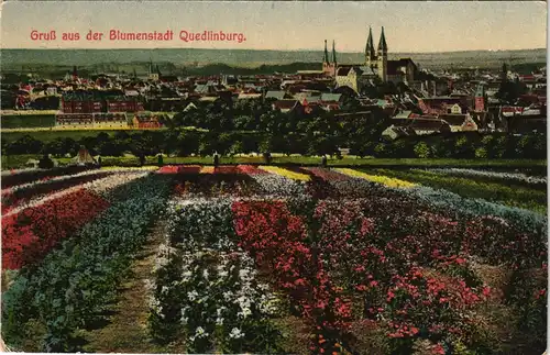 Ansichtskarte Quedlinburg Blumenbeete - Stadt 1918