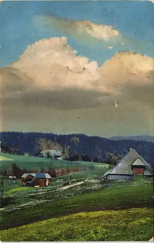 Ansichtskarte Alpirsbach Hütten Photochromie Stimmungsbild 1915