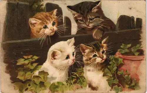 Ansichtskarte  Tiere - Katzen süße Kätzchen Künstlerkarte 1911