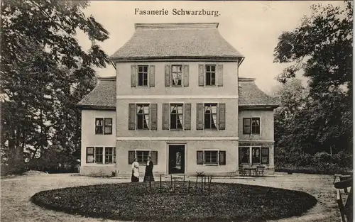Ansichtskarte Schwarzburg Schloss Schwarzburg Haus der Fasanerie 1910