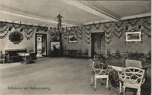 Ansichtskarte Schwarzburg Schloss Fasanerie Innenansicht 1910