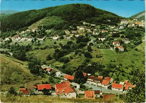 Ansichtskarte Wieda (Harz) Panorama Ansicht 1982