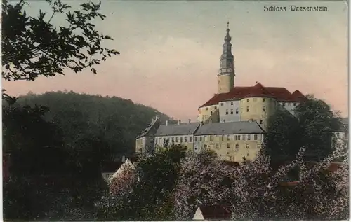 Weesenstein (Müglitz) Schloss Weesenstein (Castle) farbige Ansicht 1912/1911
