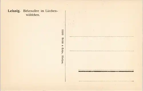 Ansichtskarte Leisnig Birkenallee im Lärchenwäldchen. 1913