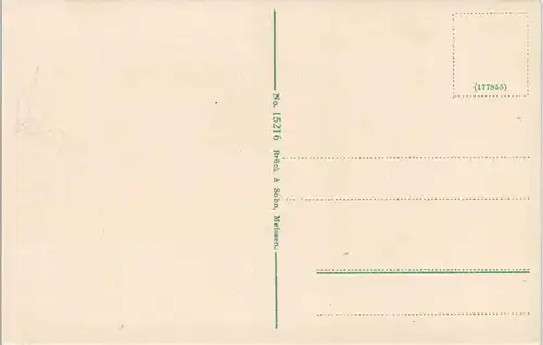 Tetschen-Bodenbach Decín Stadt Dampfer Bergschloß Schäferwand 1913