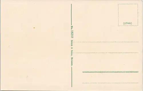 Postcard Tetschen-Bodenbach Decín Stadt, Kettenbrücke 1913