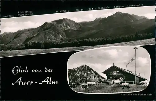 Ansichtskarte Bad Wiessee 2 Bild Auer-Alm, Kühe 1961