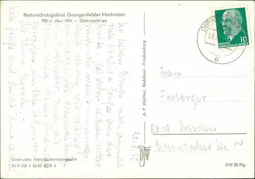 Zinnwald-Georgenfeld-Altenberg (Erzgebirge) Naturschutzgebiet  Hochmoor  1965