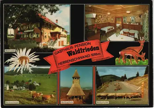 Herrenschwand Gasthaus-Pension Waldfrieden Besitzer: Hilde Flum 1975