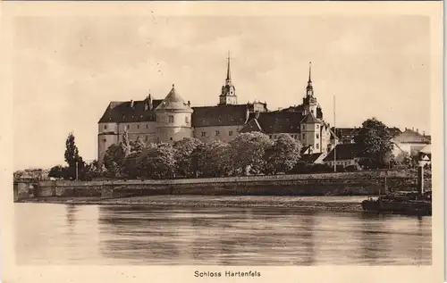 Ansichtskarte Torgau Schloss Hartenfels vom Fluss  gesehen 1917 Stempel TORGAU
