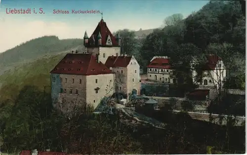 Ansichtskarte Liebstadt Schloß Kuckuckstein (coloriert) 1912