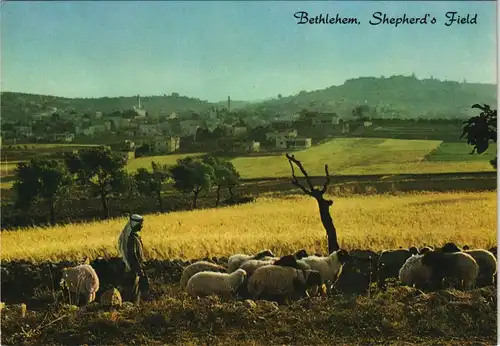 Bethlehem בֵּית לֶחֶם بيت لحم Panorama-Ansicht Hirten-Feld Shepard`s Field 1970