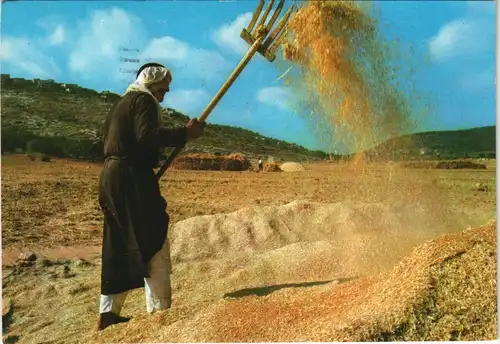 Getreide-Sieben mit Holz-Heugabel, Israel Einheimische 1970 Briefmarken ISRAEL