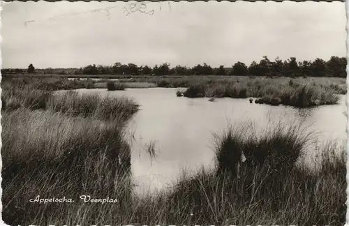 Postkaart Appelscha Appelscha, Veenplas Landschaft landscape 1960