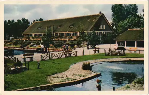 Postkaart .Niederlande AVIFAUNA - Alphen ad Rijn Holland 1960