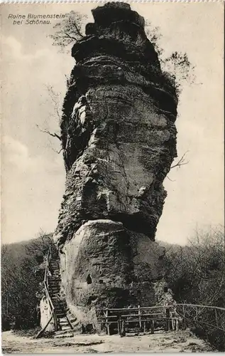 Ansichtskarte Schönau (Pfalz) Burg Blumenstein (Pfalz) 1912