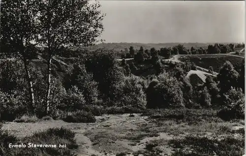 Postkaart Ermelo (Gelderland) Ermelo Staverense hei, Landschaft 1960