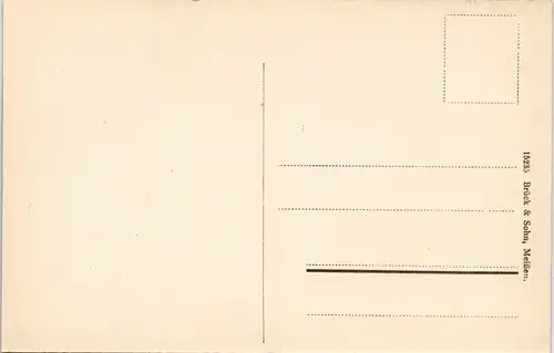 Ansichtskarte Bad Elster Wettiner Hof (Karl Marx Hof), Parkanlage 1913