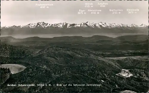 Ansichtskarte Schönau im Schwarzwald Blick auf die Bergkette 1958
