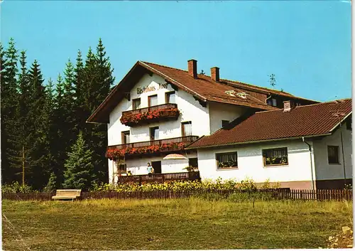 Ansichtskarte .Bayern Lohberghütte - Gästehaus Kopp 1975