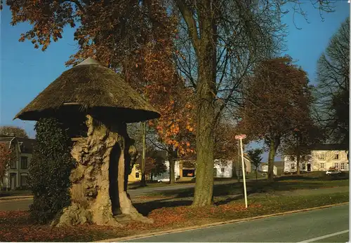 Gérouville Orme planté en 1258, dénommé Le Vieux Tilleul 1975