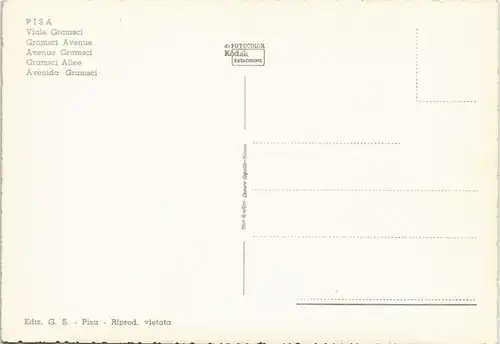 Cartoline Pisa Viale Gramsci Gramsci Avenue 1960