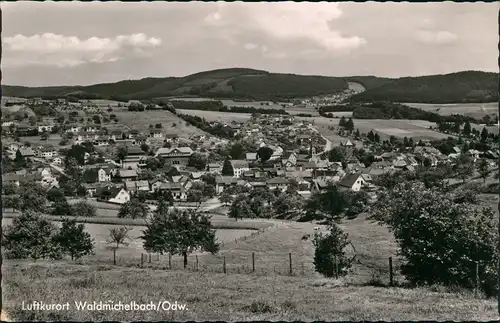 Ansichtskarte Waldmichelbach Panorama Blick auf den Odenwald Ort 1960