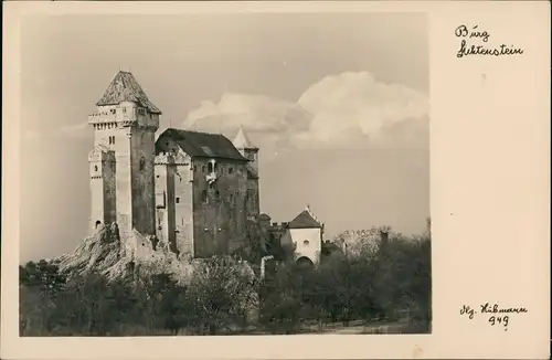 Maria - Enzersdorf Burg Liechtenstein Foto-AK Gesamtansicht 1955
